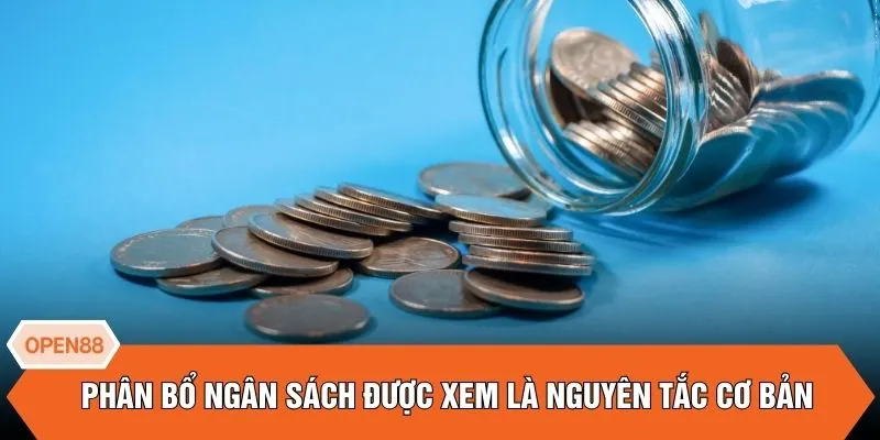 Phân bổ ngân sách được xem là nguyên tắc cơ bản